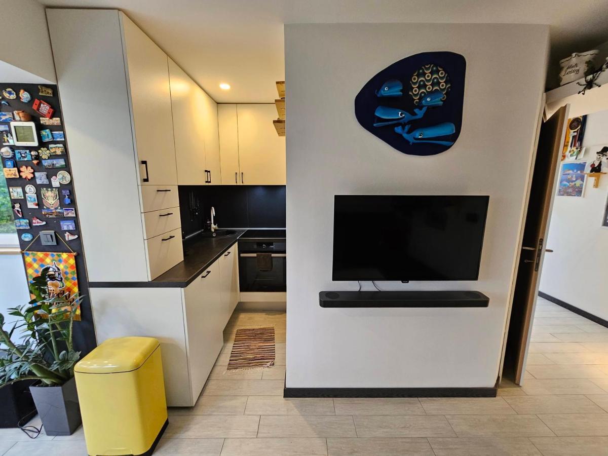 Apartman Carnevalus Rijeka Bagian luar foto