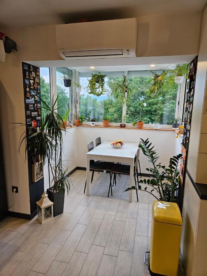 Apartman Carnevalus Rijeka Bagian luar foto